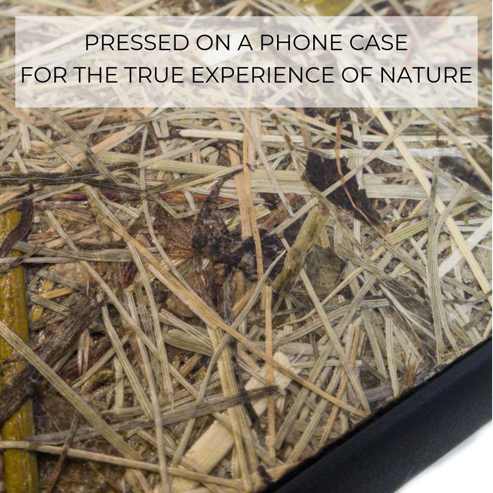 Alpine Hay - Personalized Phone Case - Personalized Gift