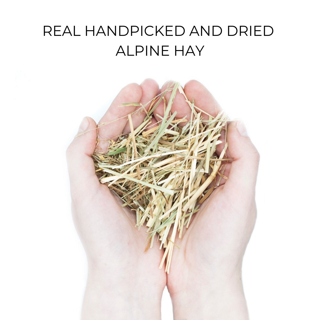 Alpine Hay - Personalized Phone Case - Personalized Gift