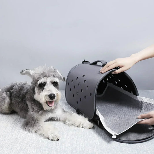 Sb150dfe2a81a4786a2a2aa0f2ba57184K