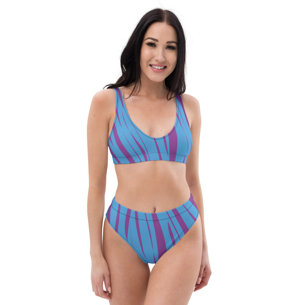 Coast Recycled High Waisted Bikini Set