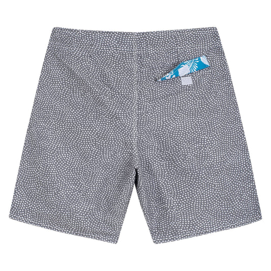 GOLORITZE Beach Shorts | Gray